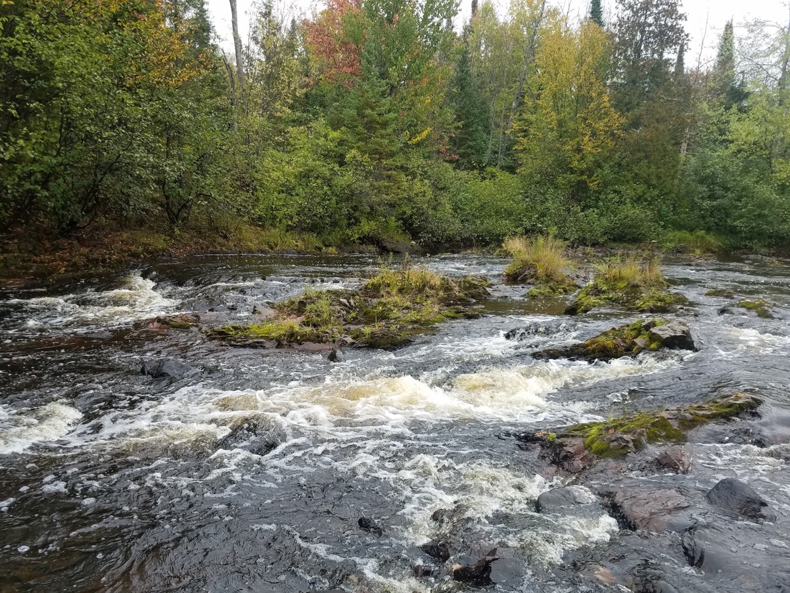 The Tyler Forks River rushing over exposed bedrock and around mossy rock islands surrounded by autumn forest in Ashland County. Photo by Erika Lang.