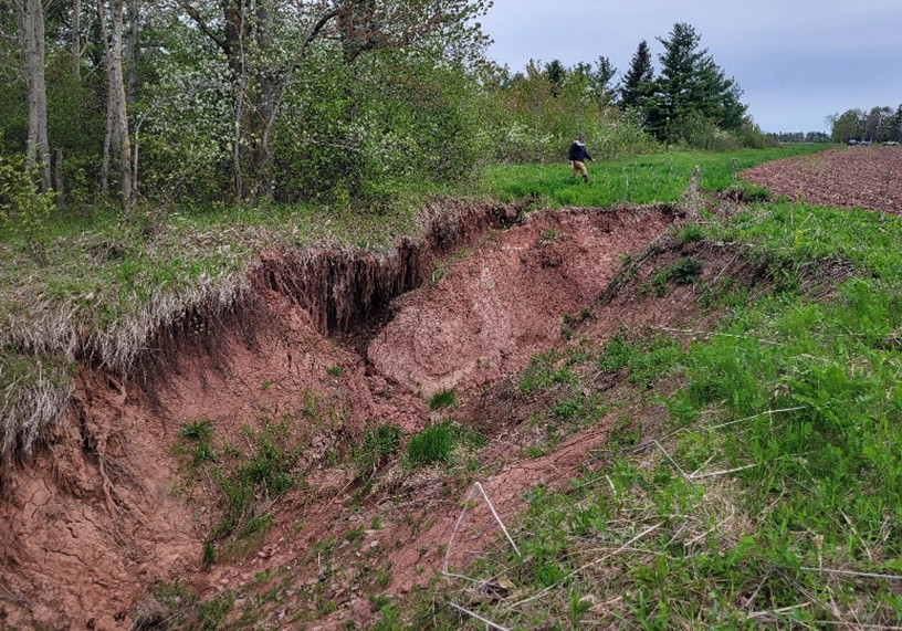 Severe head-cutting and gully erosion at Berweger Farm before restoration, showing a deep eroded channel cutting through farmland
