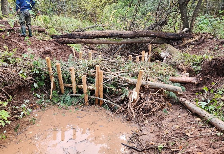 Post-assisted log structures installed across a stream channel at Tody Ravine to slow water flow and deposit sediment