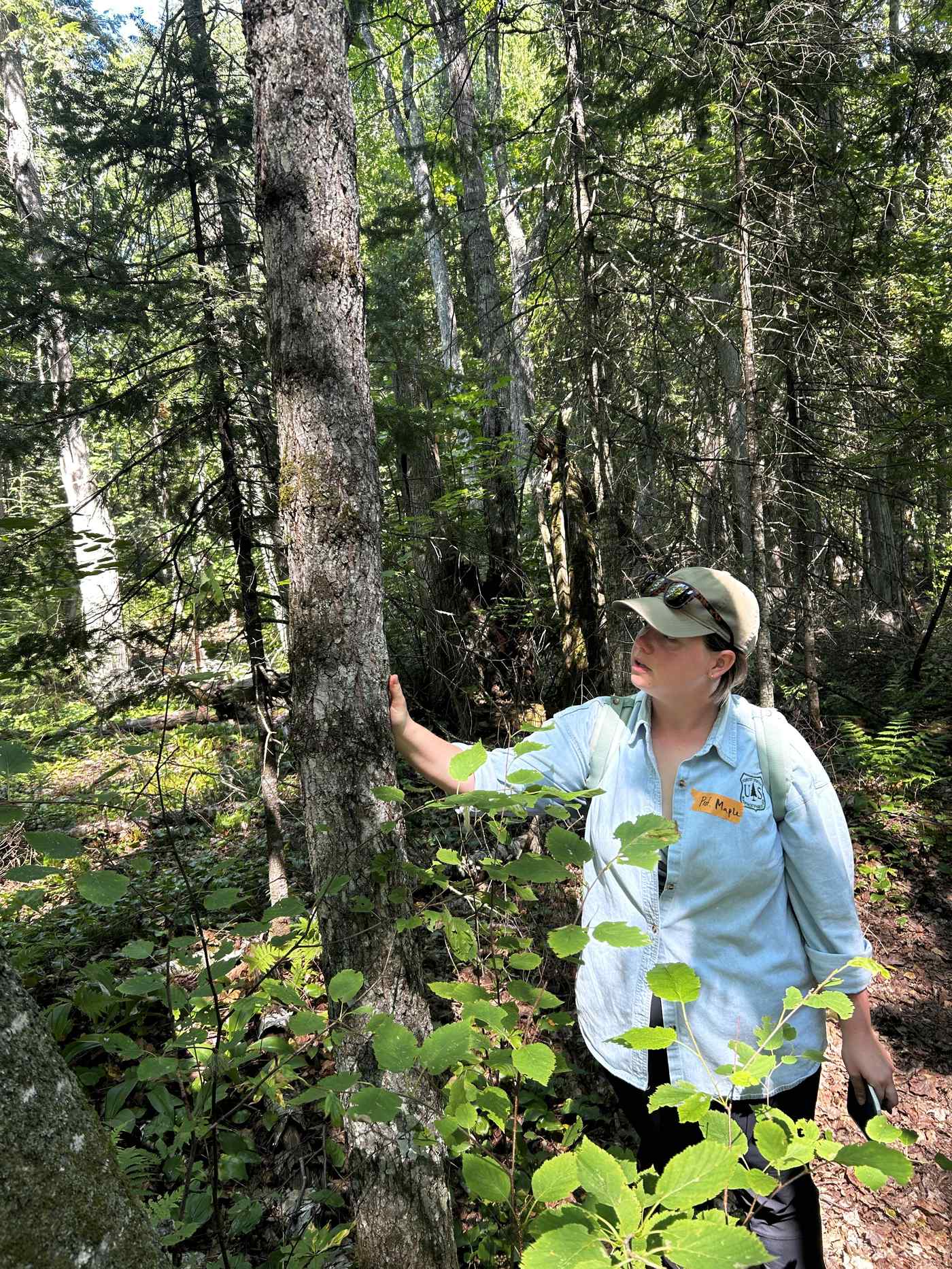 A participant leading a teaching moment on a tree during the Professor Hike at Frog Bay Tribal National Park