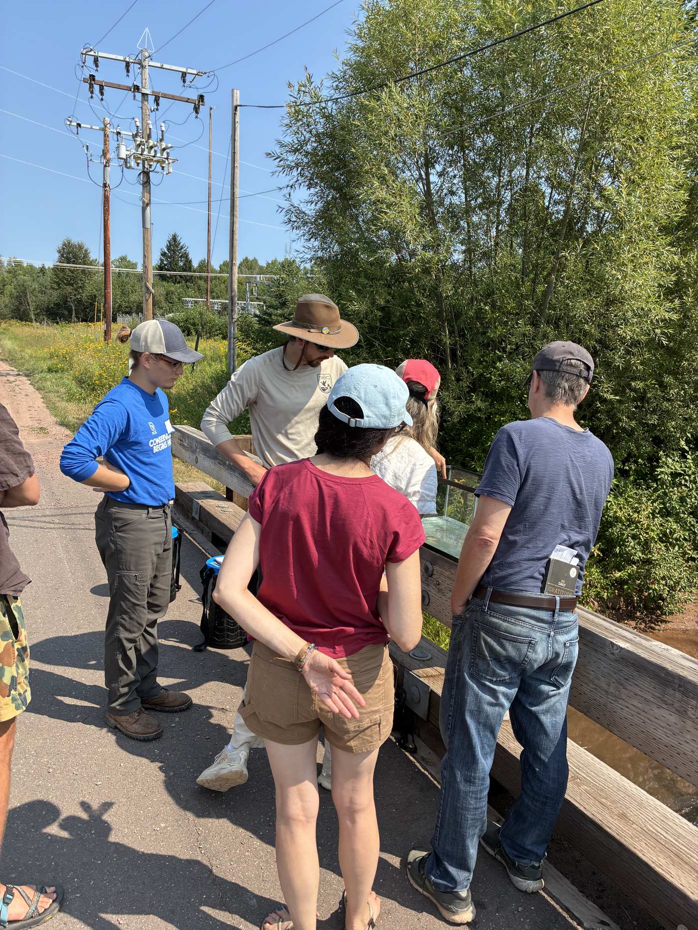 Participants watching an electroshocking demonstration for fish monitoring on Whittlesey Creek