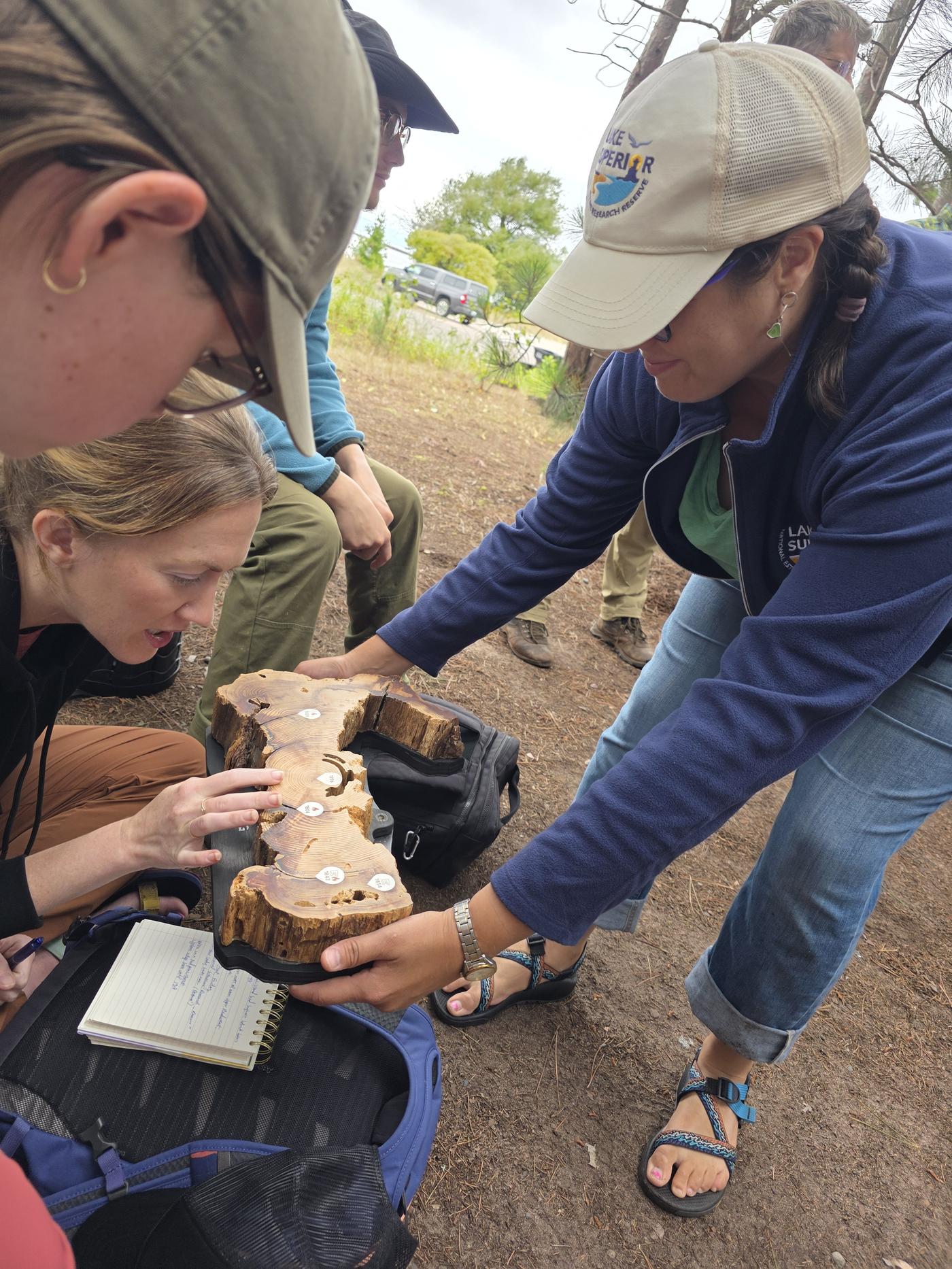 Examining a tree ring cross-section during a discussion of fire history at Wisconsin Point